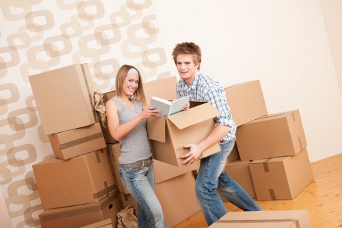 Flexible man with a van service for collections and home moves in Hanworth