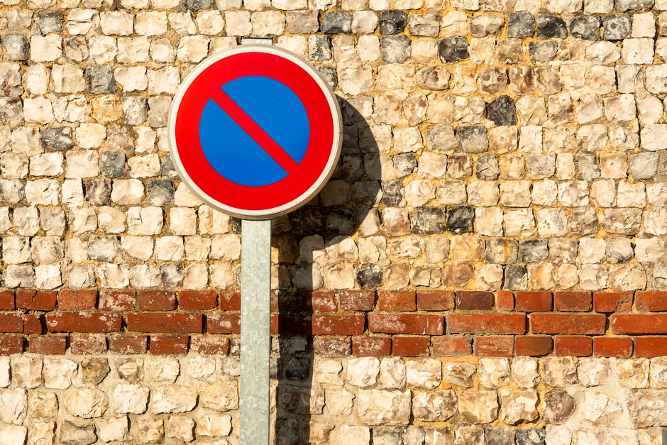 A circular no parking sign with a red border, blue background, and a red diagonal line across the center, mounted on a metal pole standing against a brick wall. The wall features a mix of beige and li